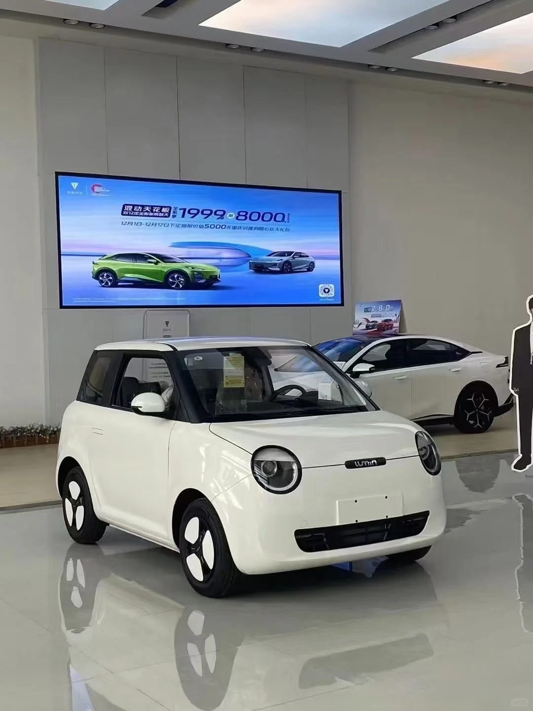 温州吉新星愿11月冲量