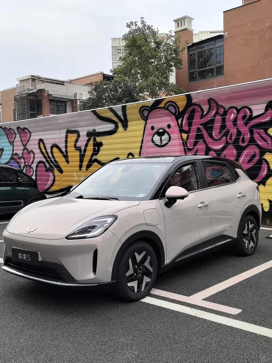 体制内开这个车可以吗？