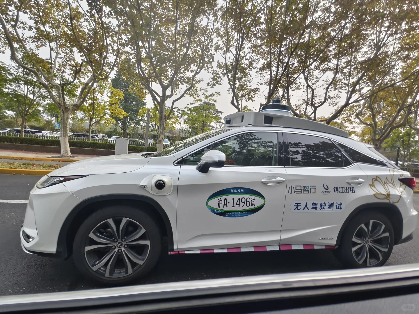 看到了上海的无人智驾，速度还很快