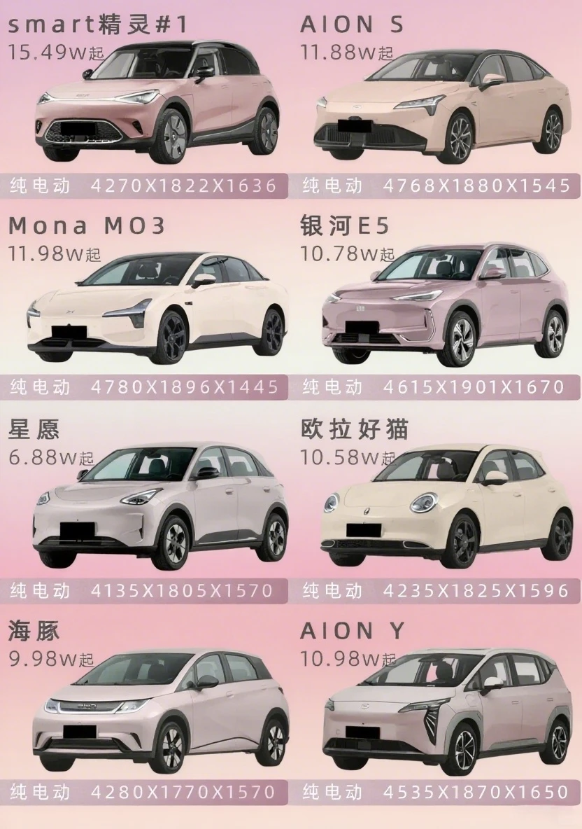 12万电车终极Battle!smart到比亚迪全测透