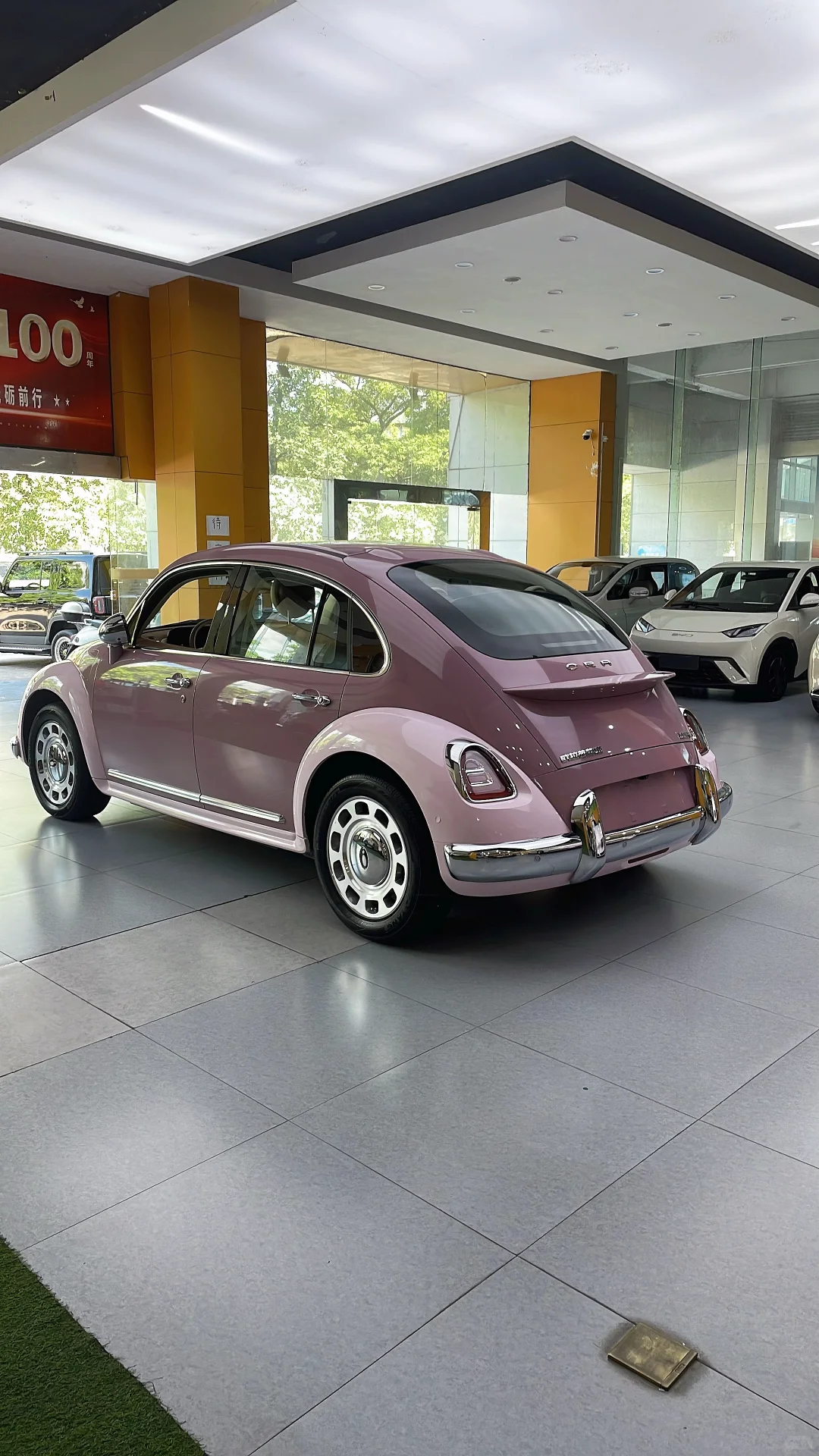 紫霞仙子芭蕾猫