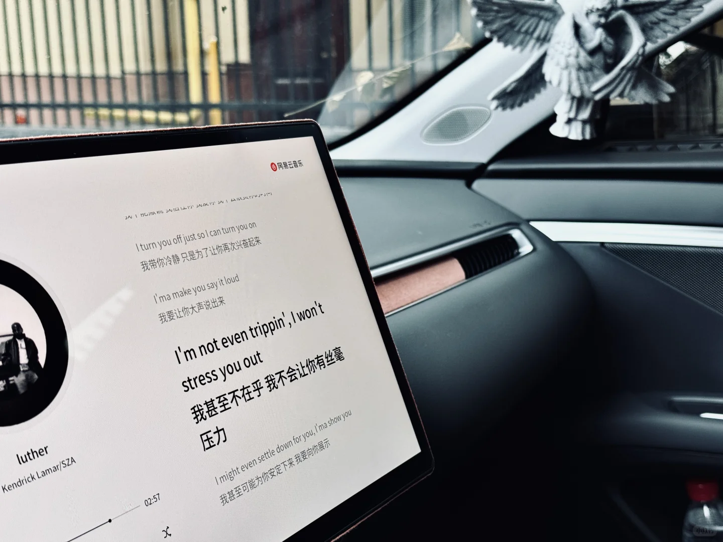 我的猫呐Mona03，一个月真实反馈！