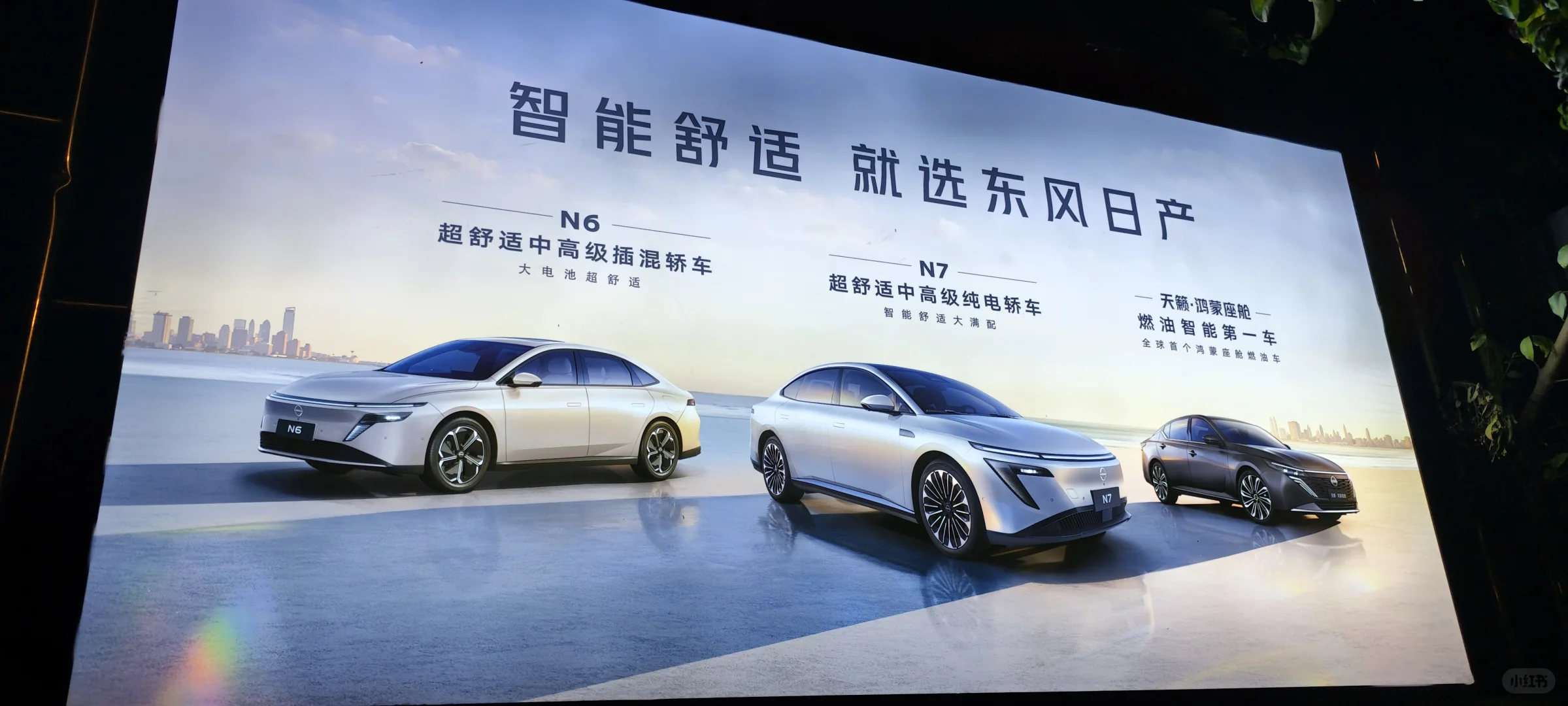 燃油乎？插混乎？纯电乎？