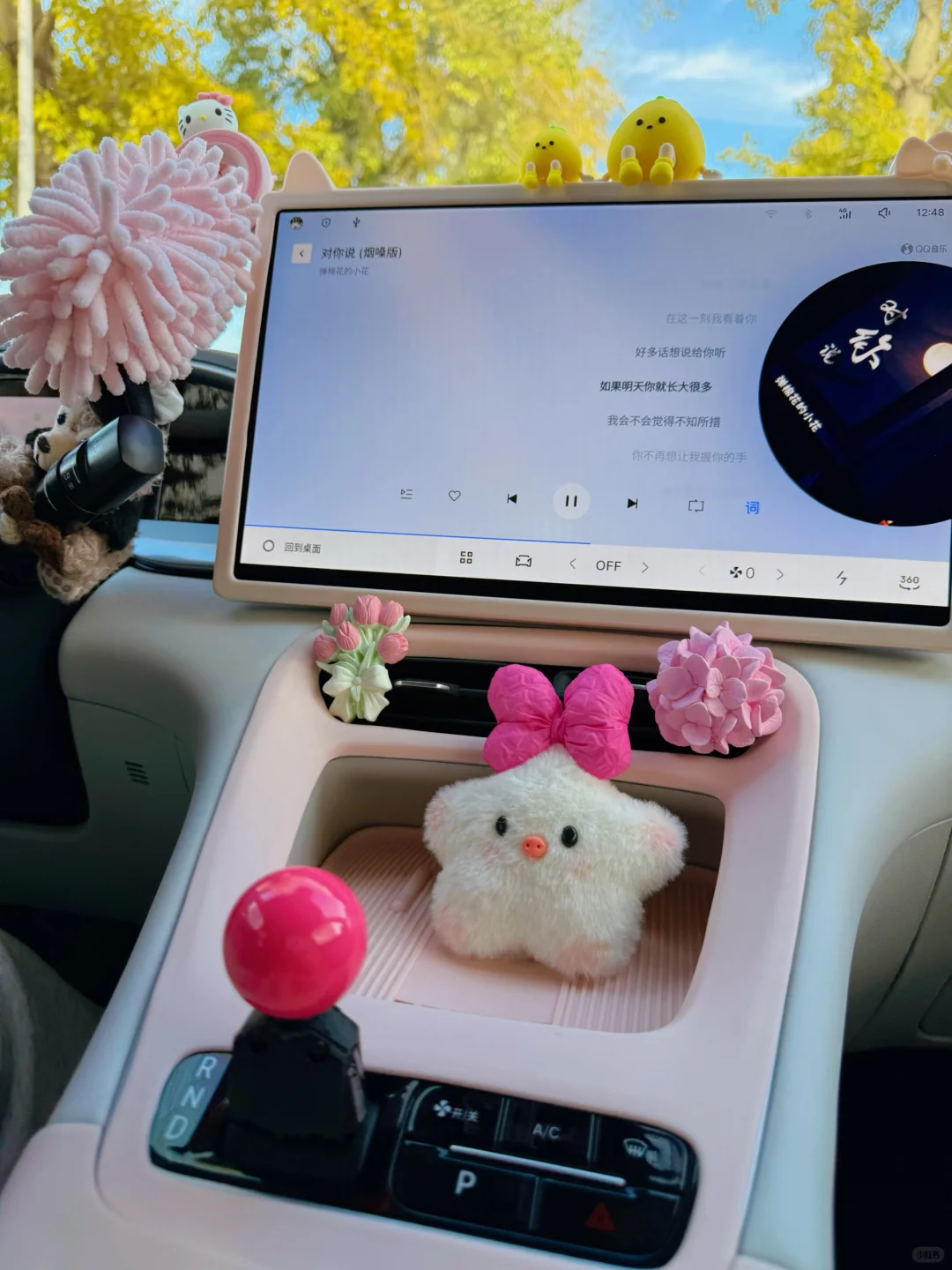 沉浸式拍星愿🚘