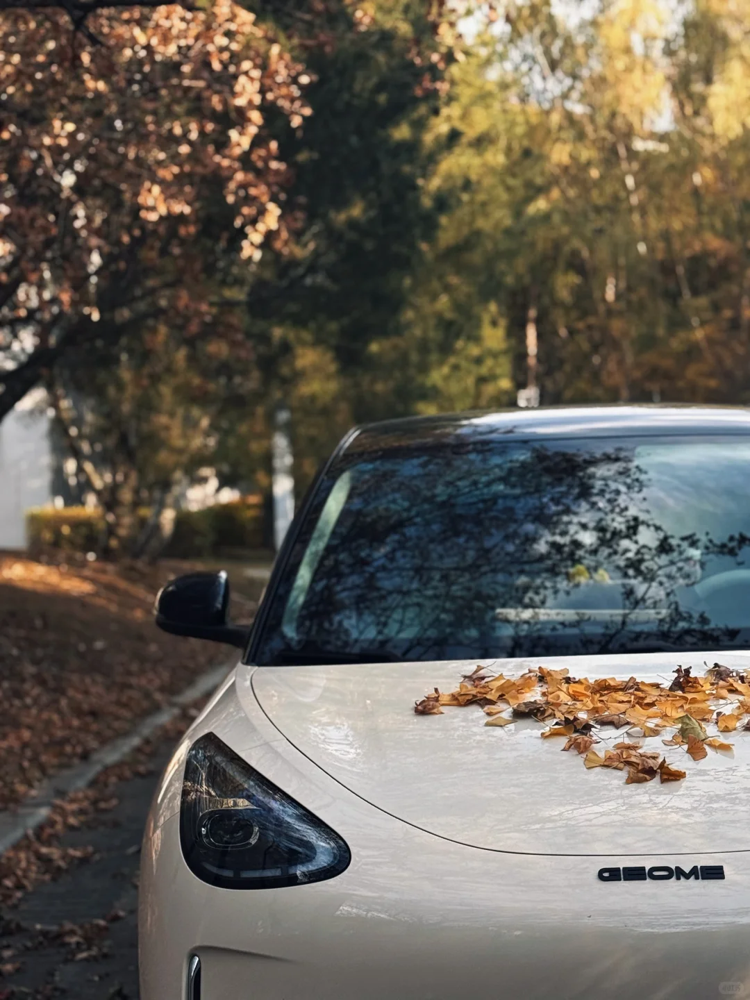 沉浸式拍星愿🚘