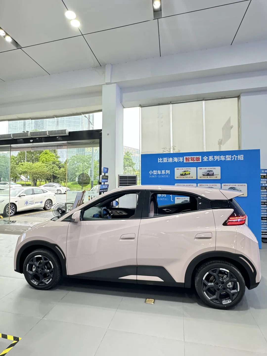 谁懂啊！比亚迪海鸥「代步车」玩明白了！🚗💨