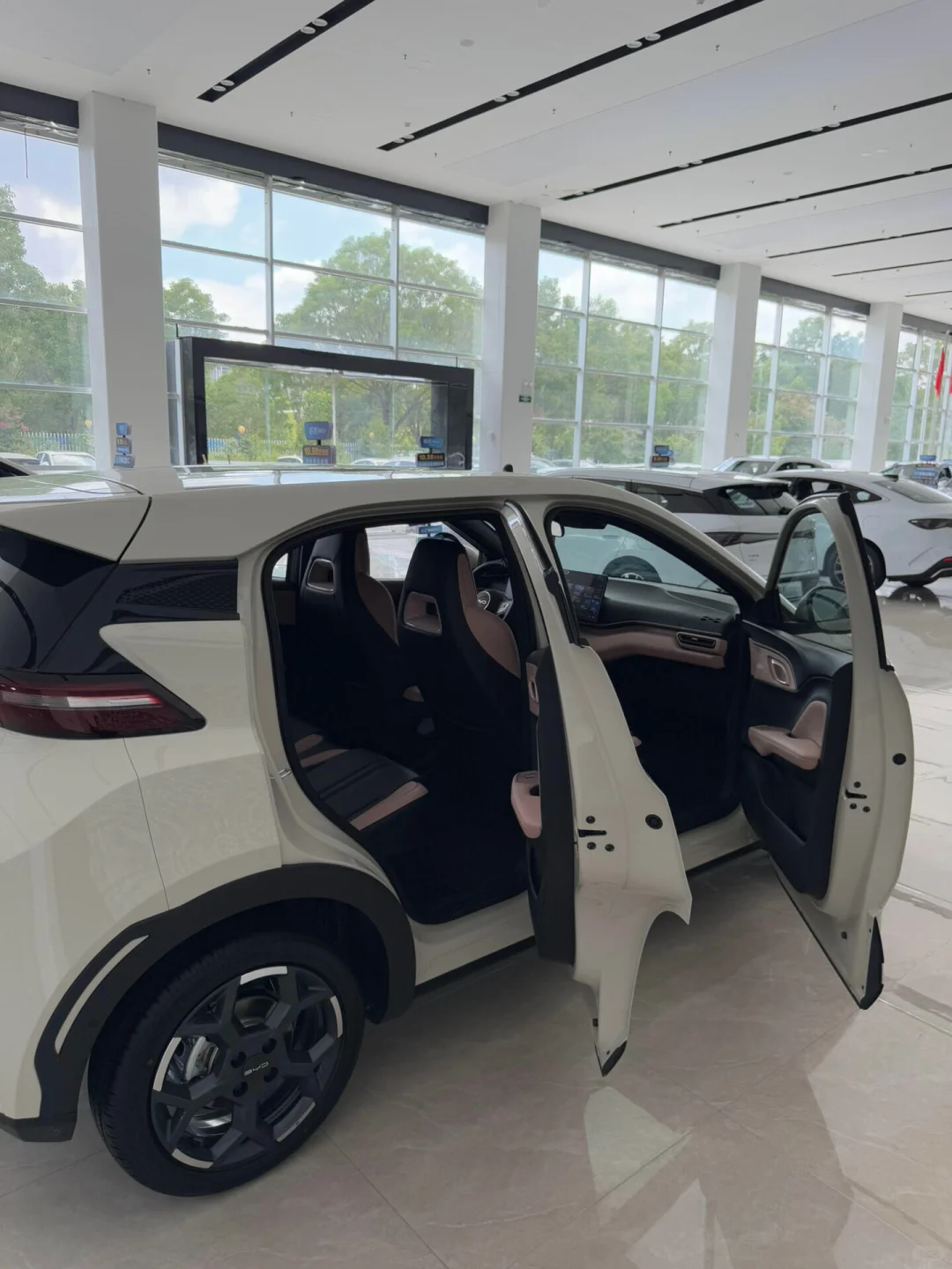 小海鸥使用6个月的真实感受🚔