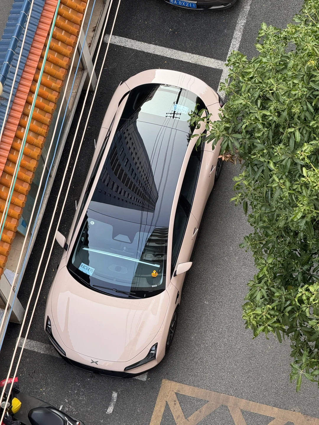 我的猫呐Mona03，一个月真实反馈！