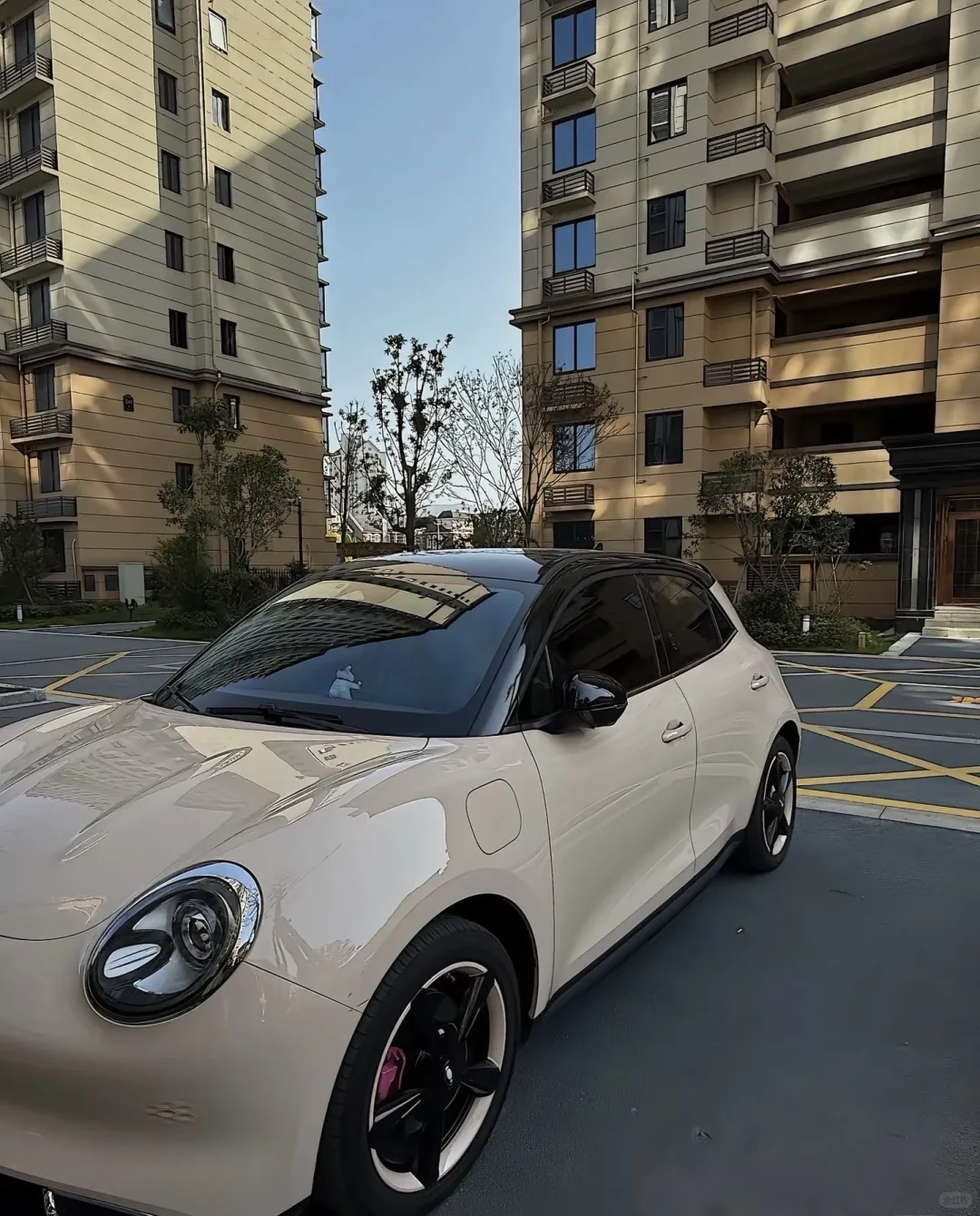 女生的第一辆小车车怎么选，抓紧看过来咯