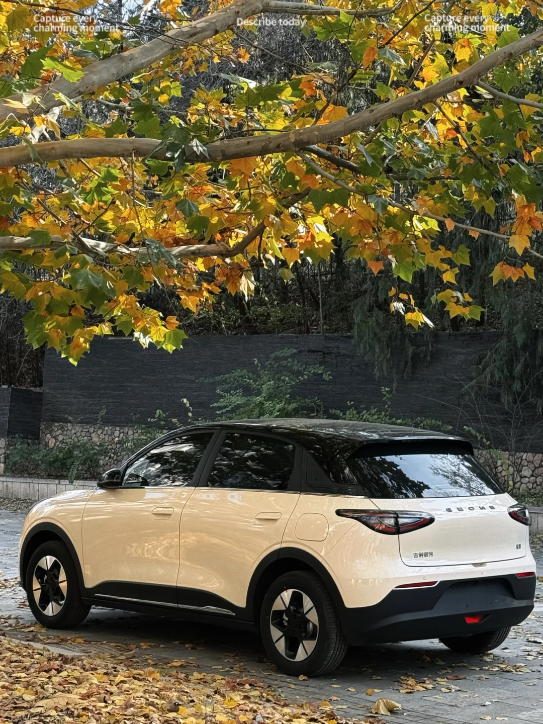 沉浸式拍星愿🚘