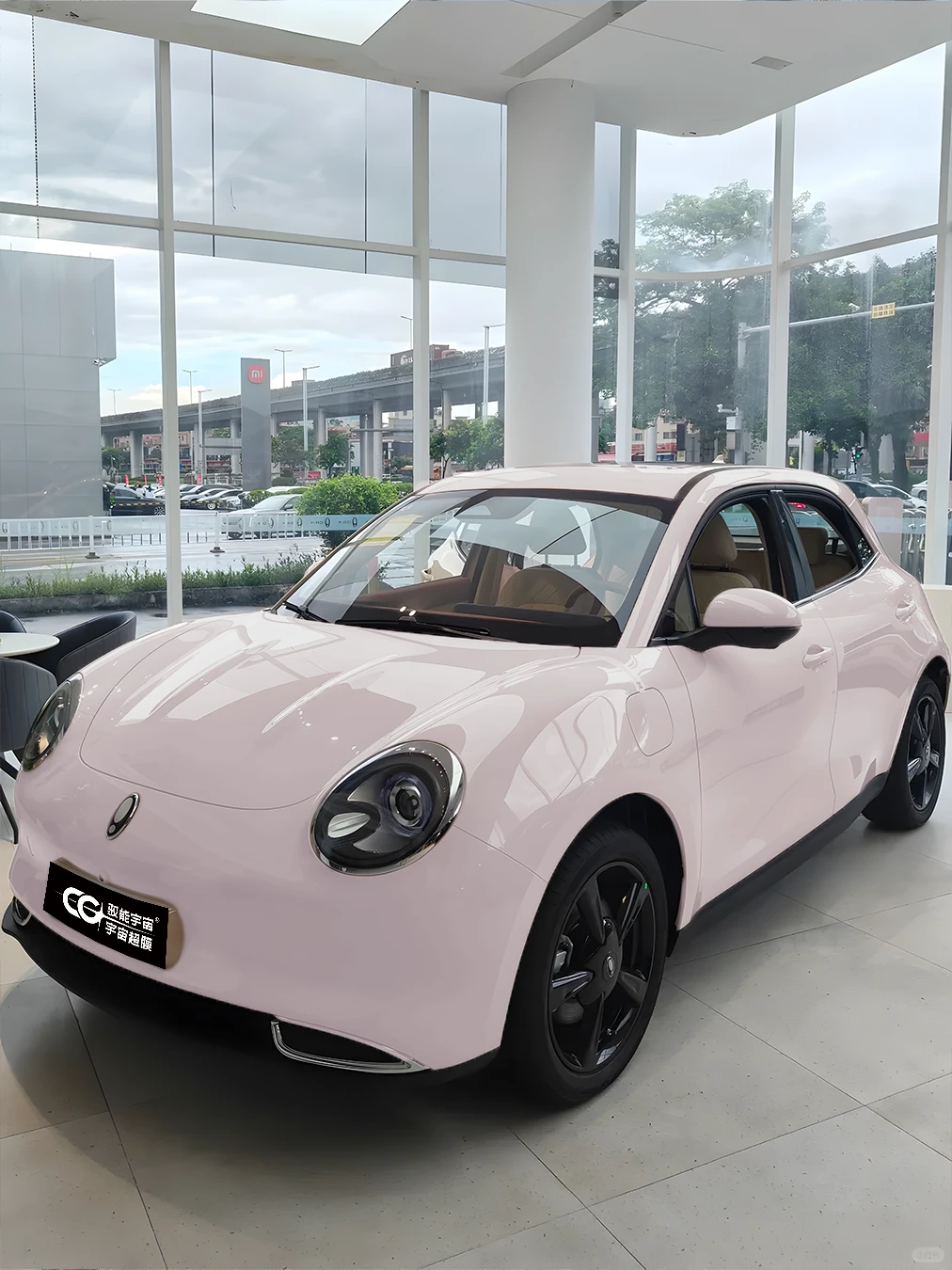 越看越喜欢！粉色猫猫也太好看了！！