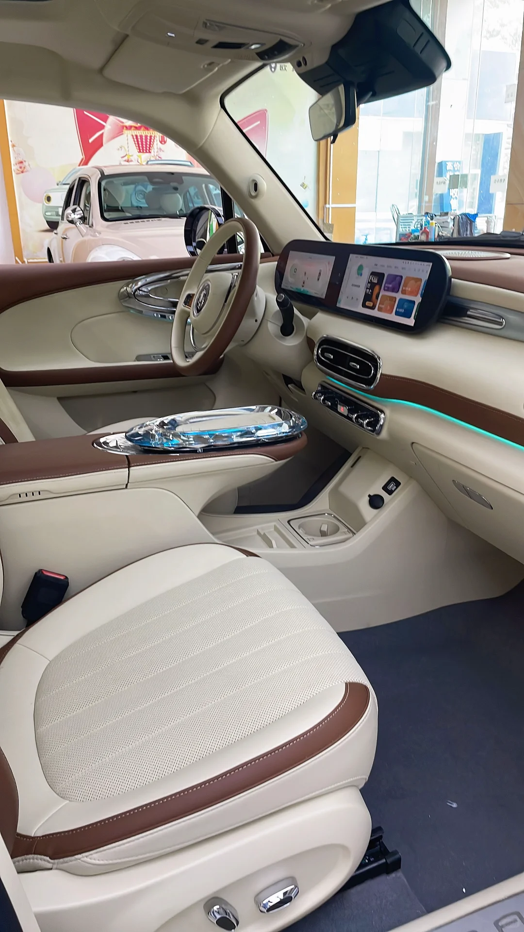 紫霞仙子芭蕾猫