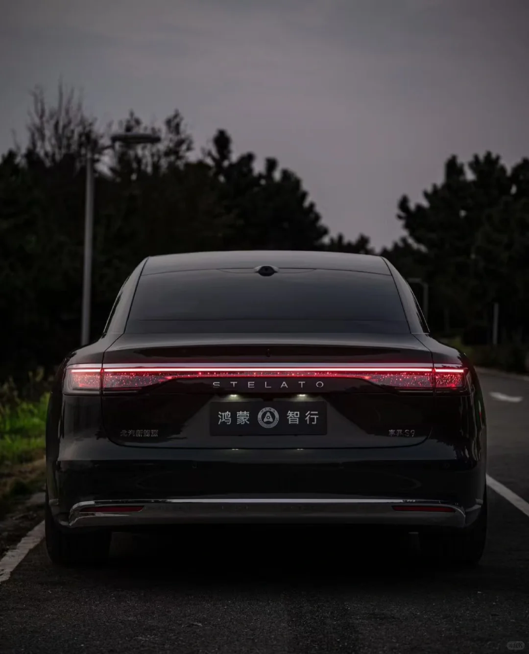 谁才是你的梦中情车