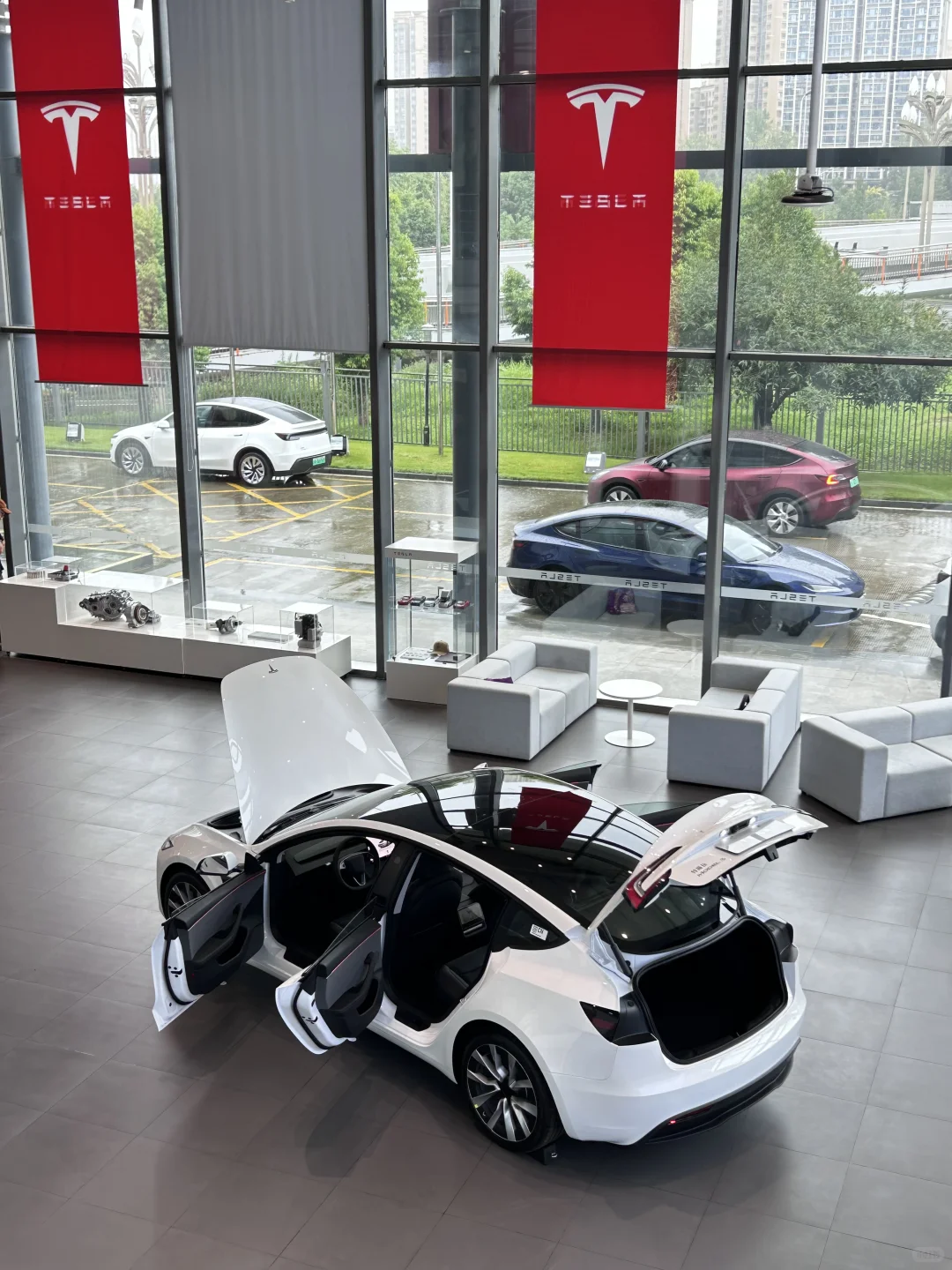 预算20个，不内耗的女生冲Model 3