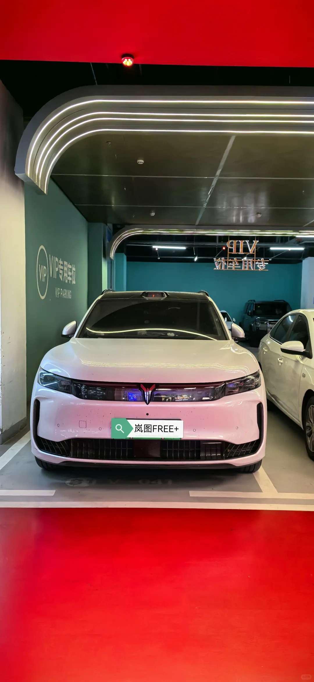 老骥伏枥-22款梦想家自动泊车和辅助驾驶