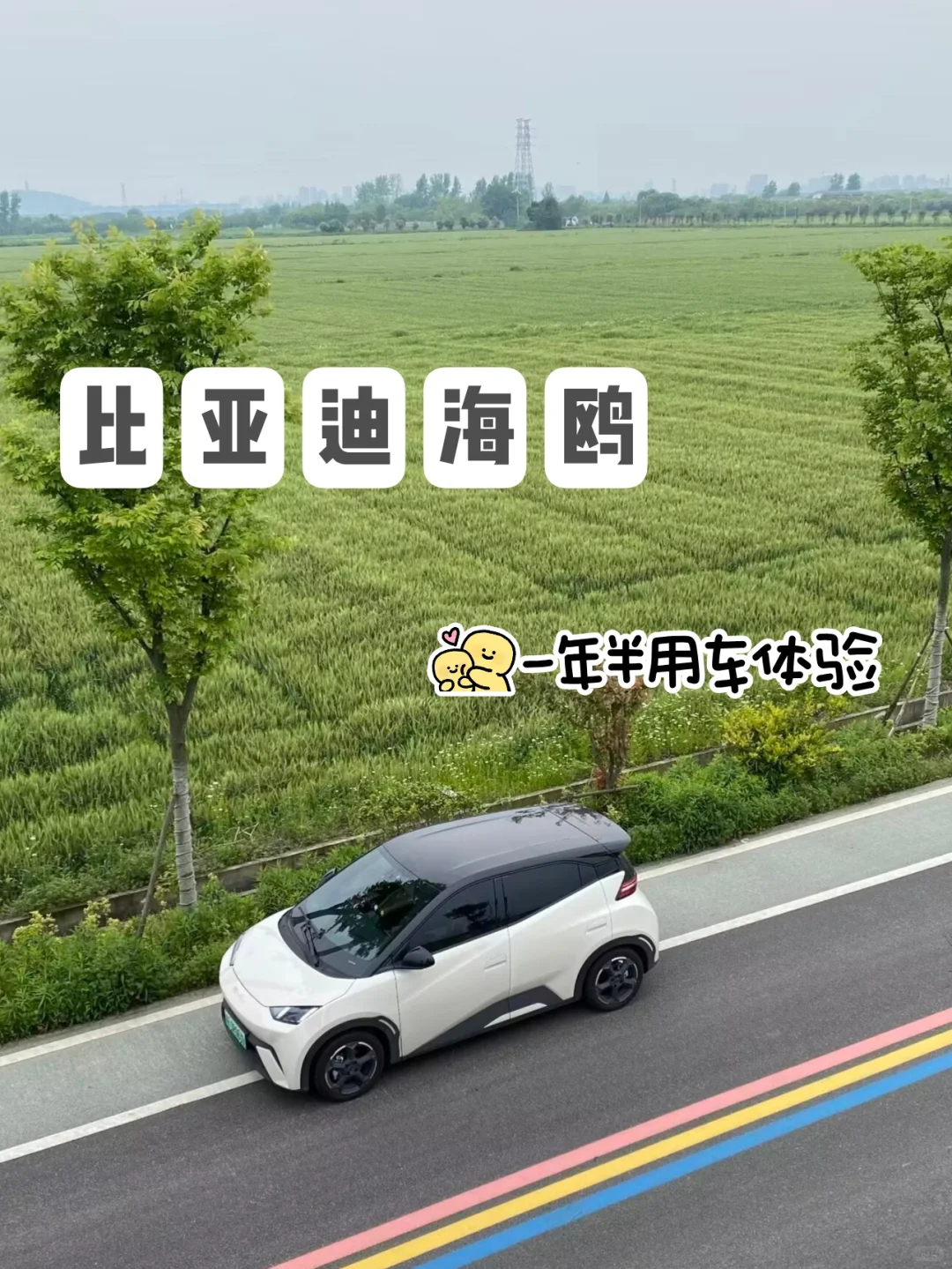 比亚迪海鸥一年半用车体验