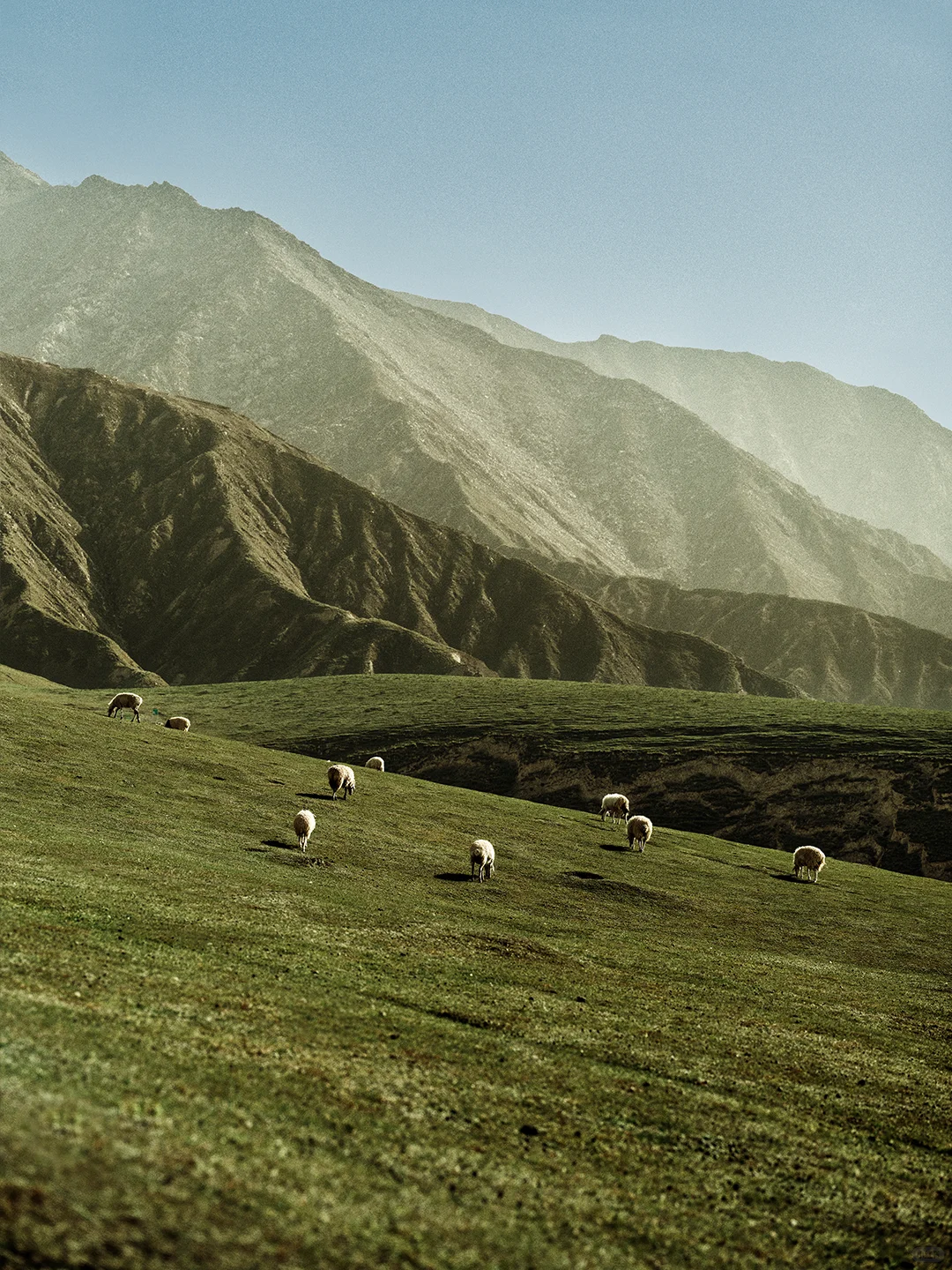 以山为序，迈入天地⛰