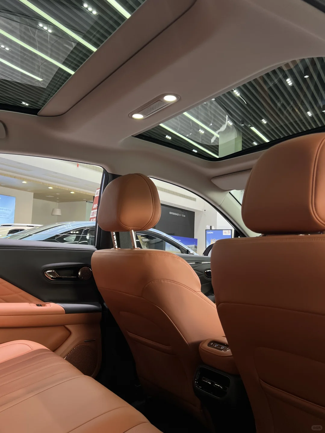 阳光下也太好看了吧