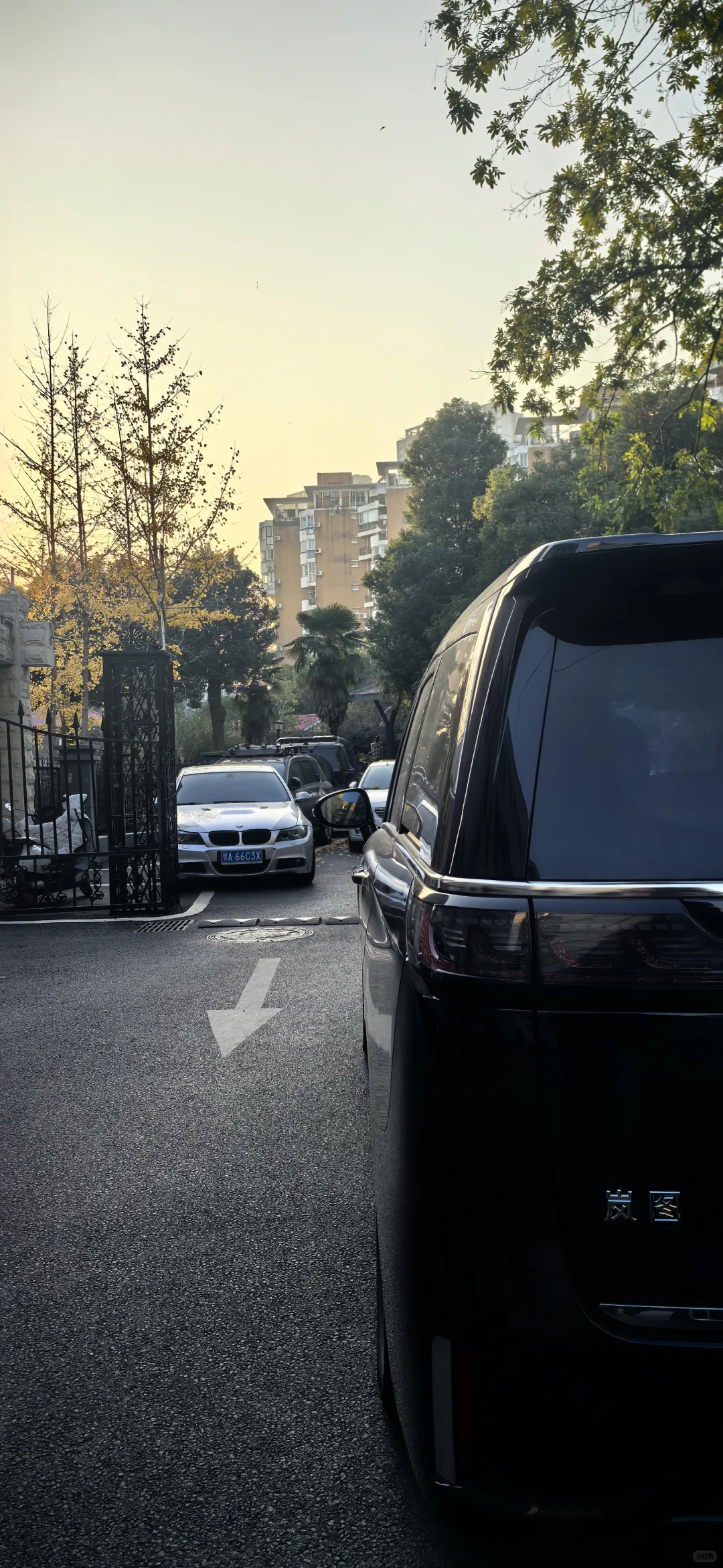 老骥伏枥-22款梦想家自动泊车和辅助驾驶