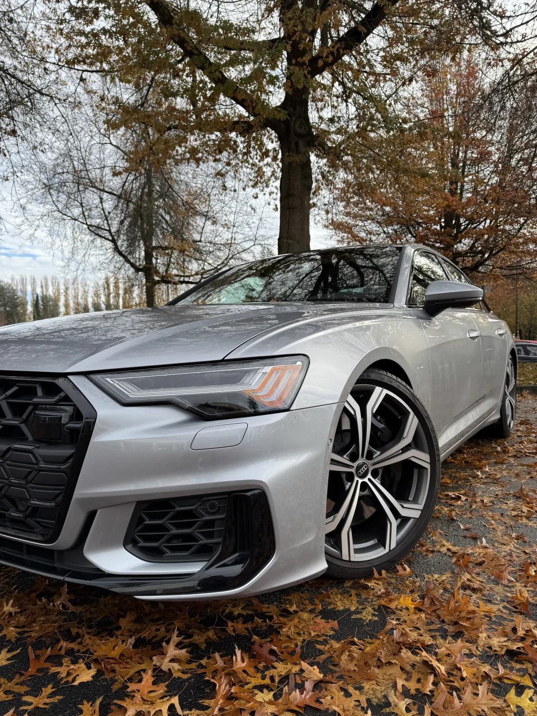 2025全新 奥迪S6: 行政轿车玩反差❓