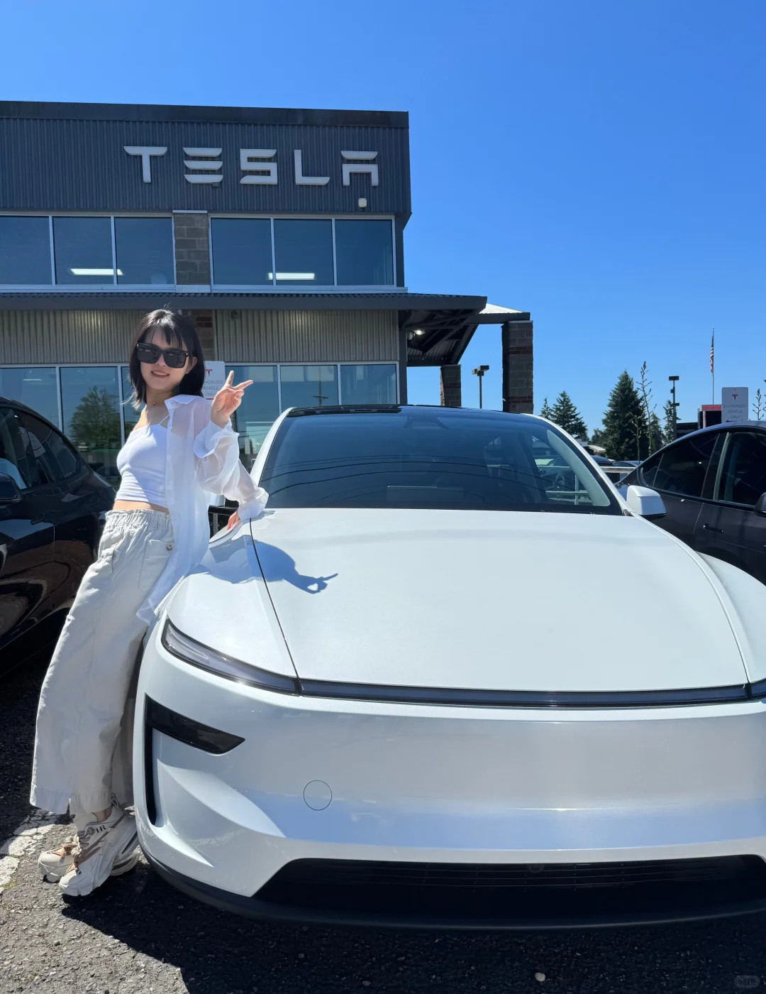 特斯拉FSD智驾体验