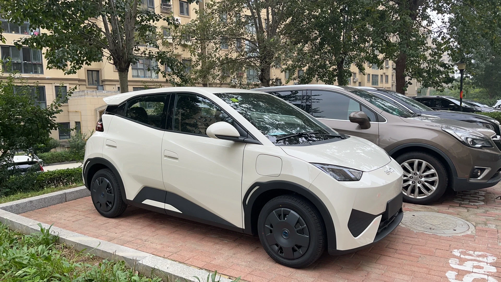 喜提比亚迪海鸥，3.8w，通勤小车