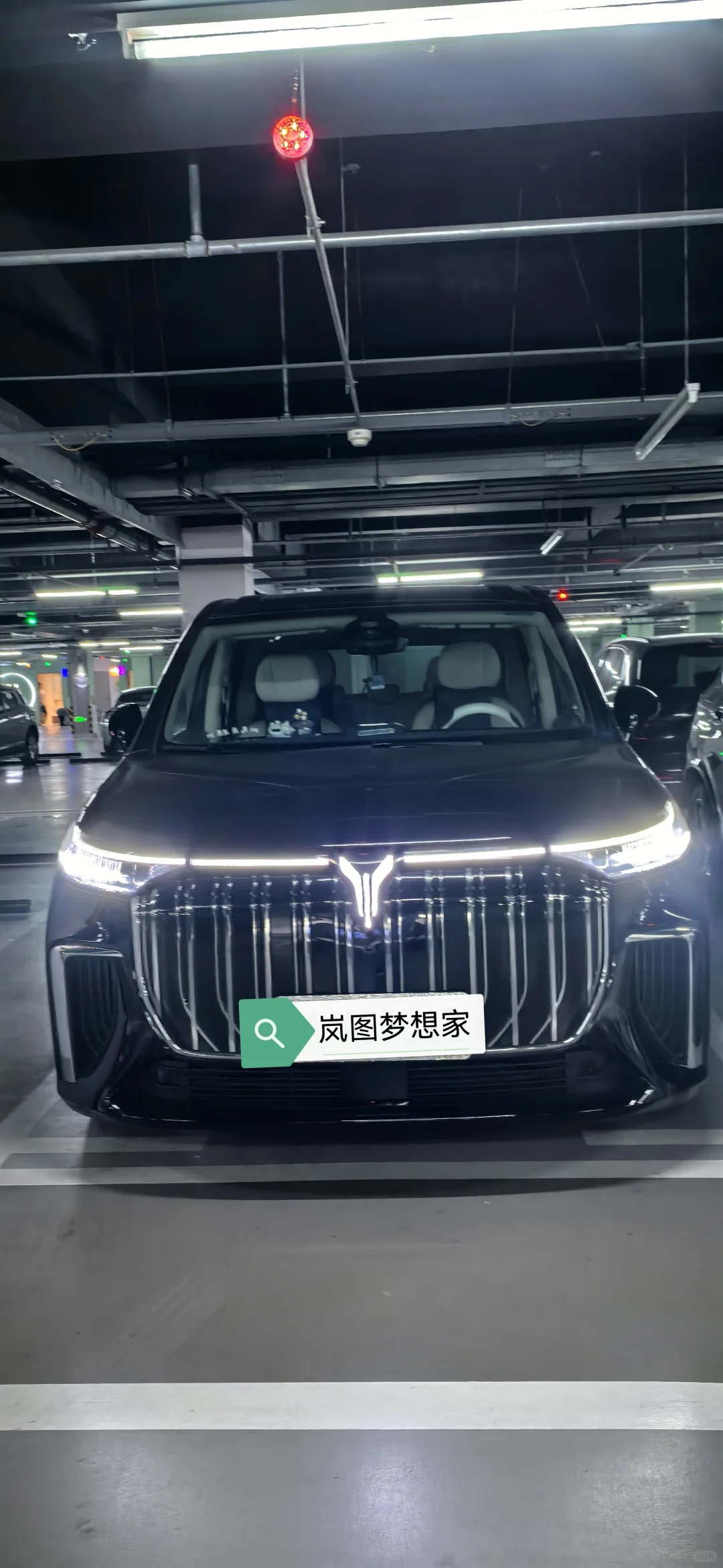 老骥伏枥-22款梦想家自动泊车和辅助驾驶