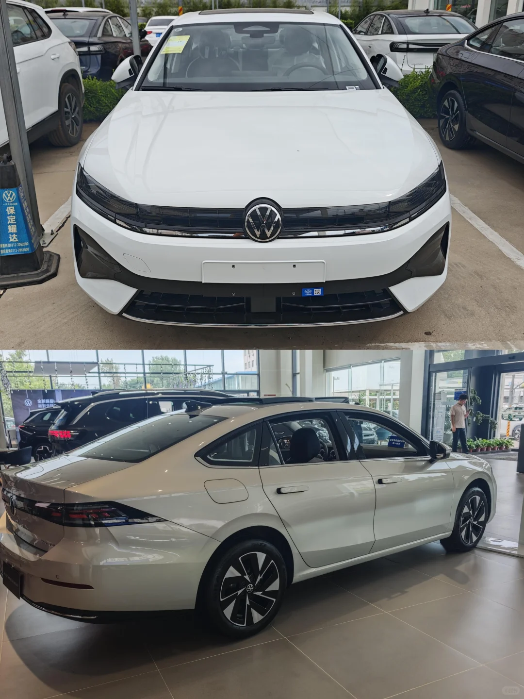 极限二选一、星瑞还是速腾L啊！