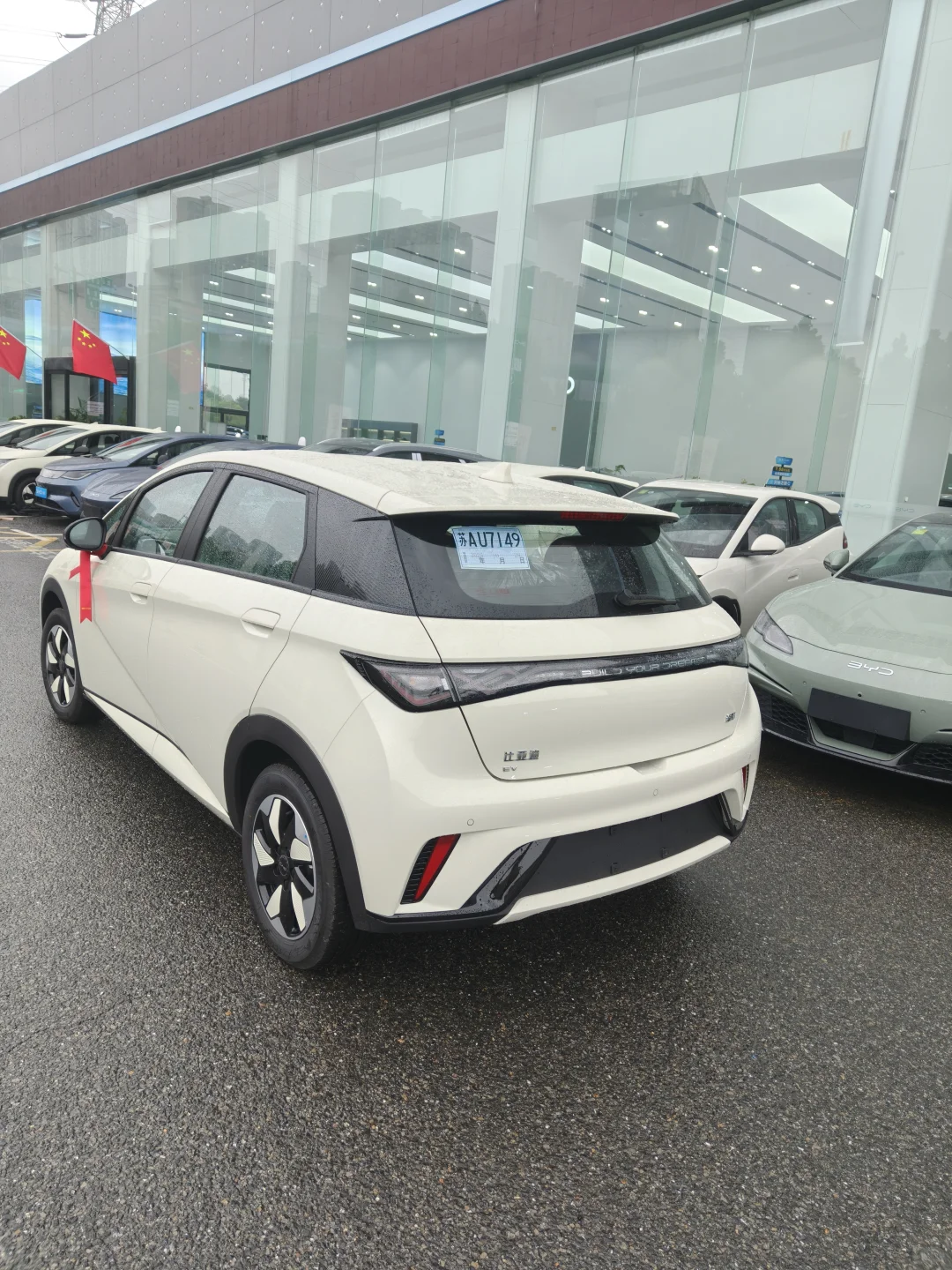 看了3天车，六万多拿下海豚自由版