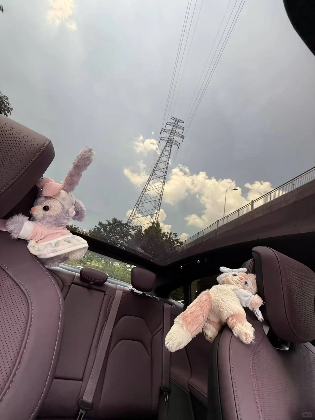 被我的车帅晕了/小米su7