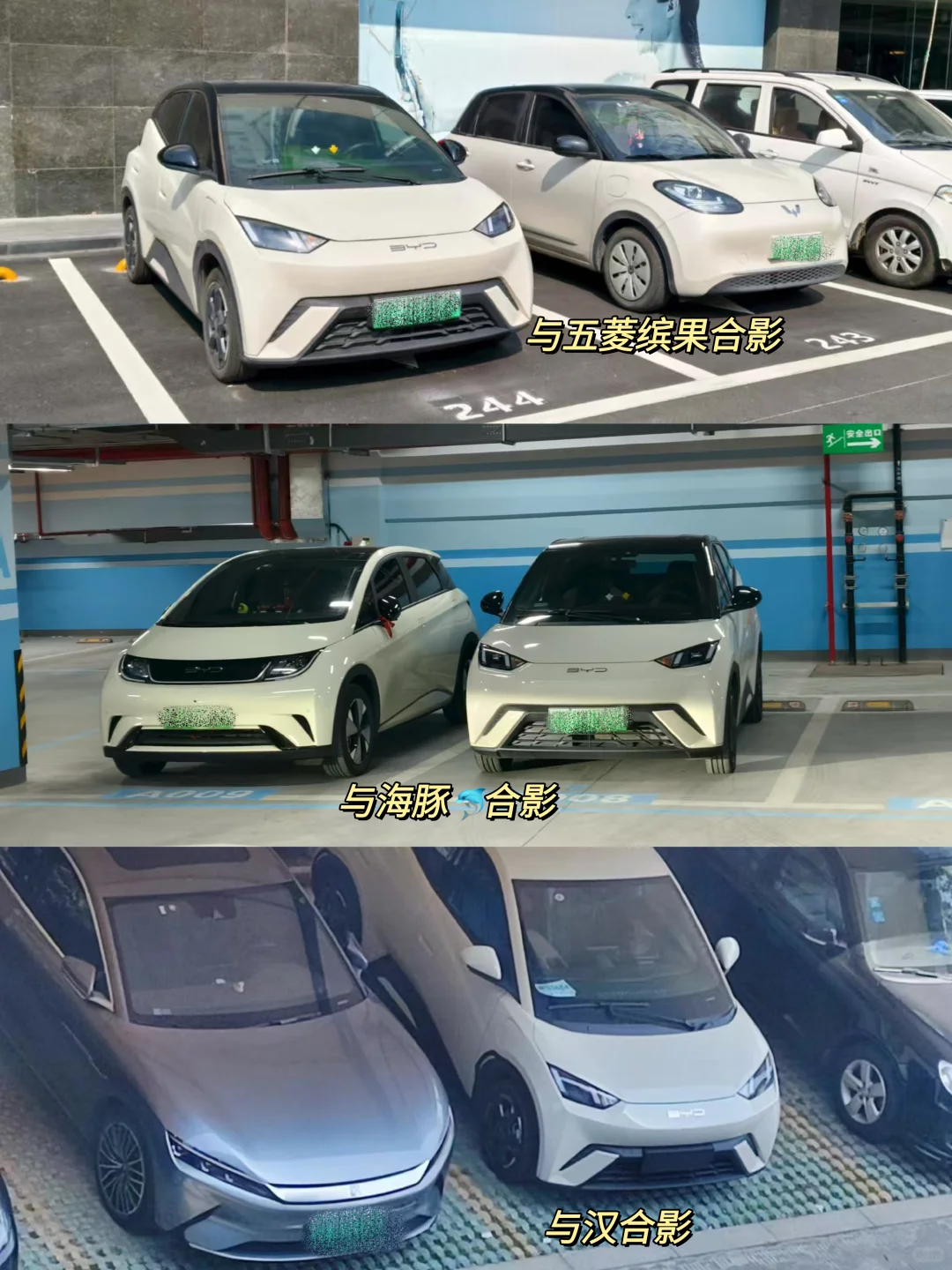 比亚迪海鸥一年半用车体验