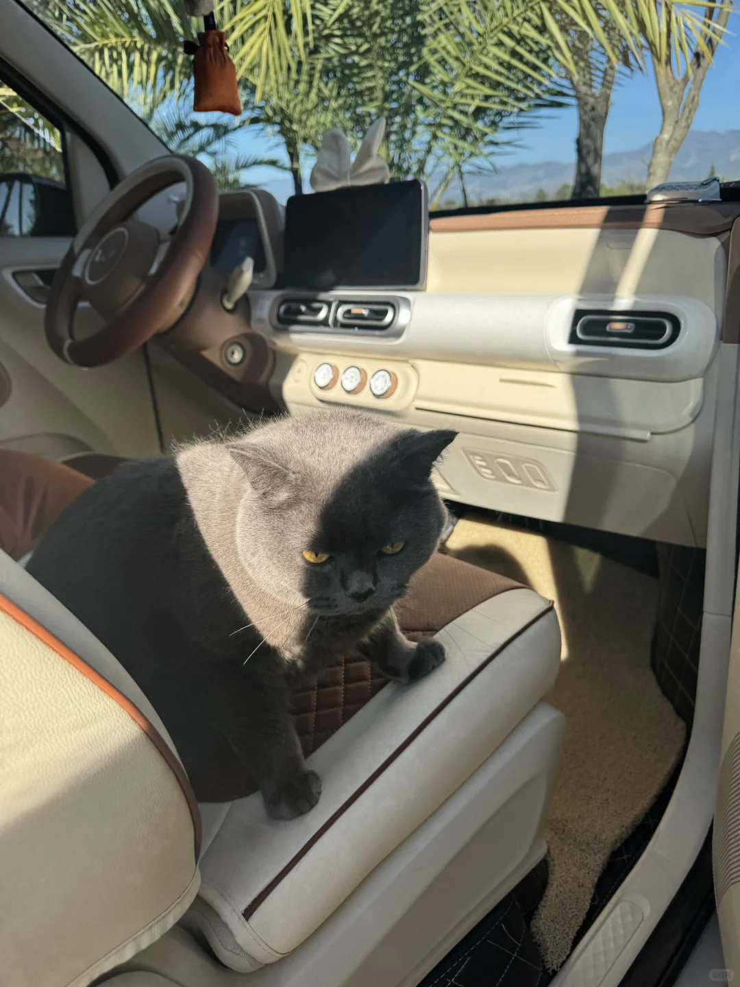 职场i人代步车宏光mini三代，改造清单来啦🚗