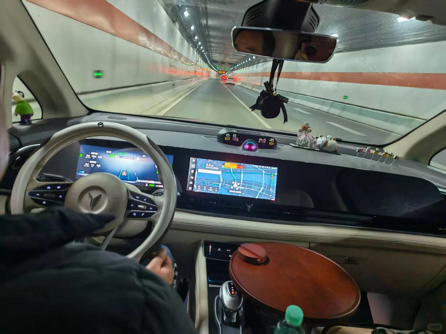 老骥伏枥-22款梦想家自动泊车和辅助驾驶