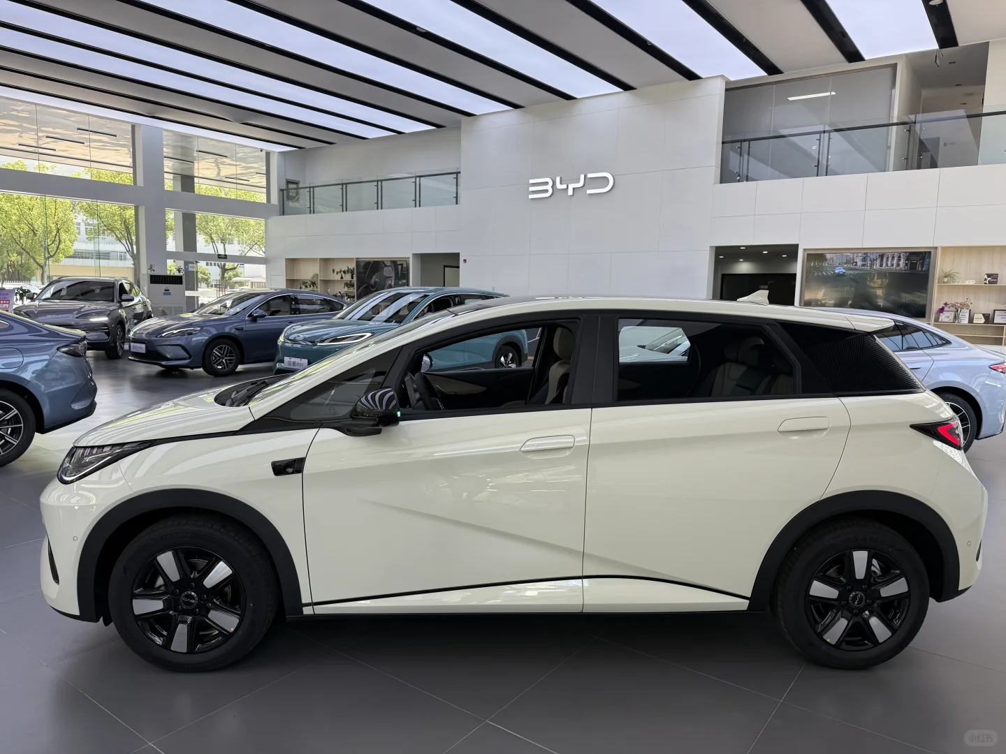 🐬比亚迪海豚，真的越看越爱！