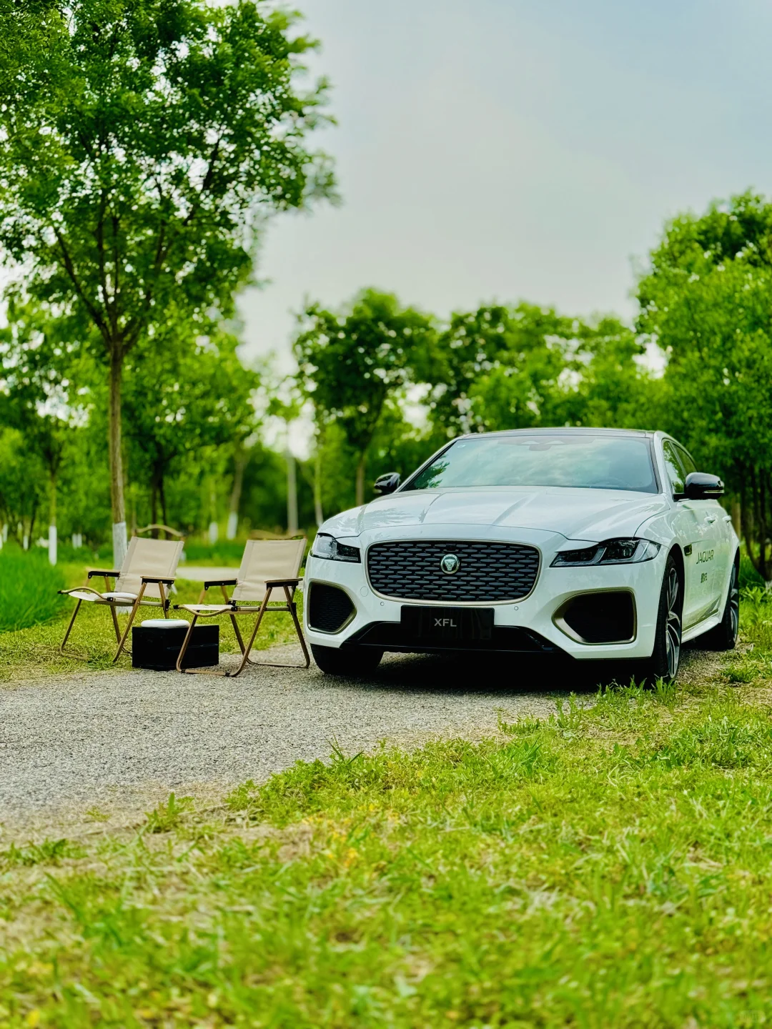 一定要bba吗？捷豹不行吗？