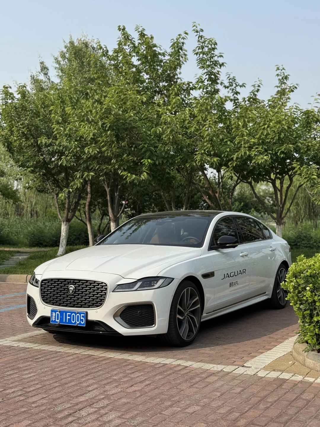 一定要bba吗？捷豹不行吗？