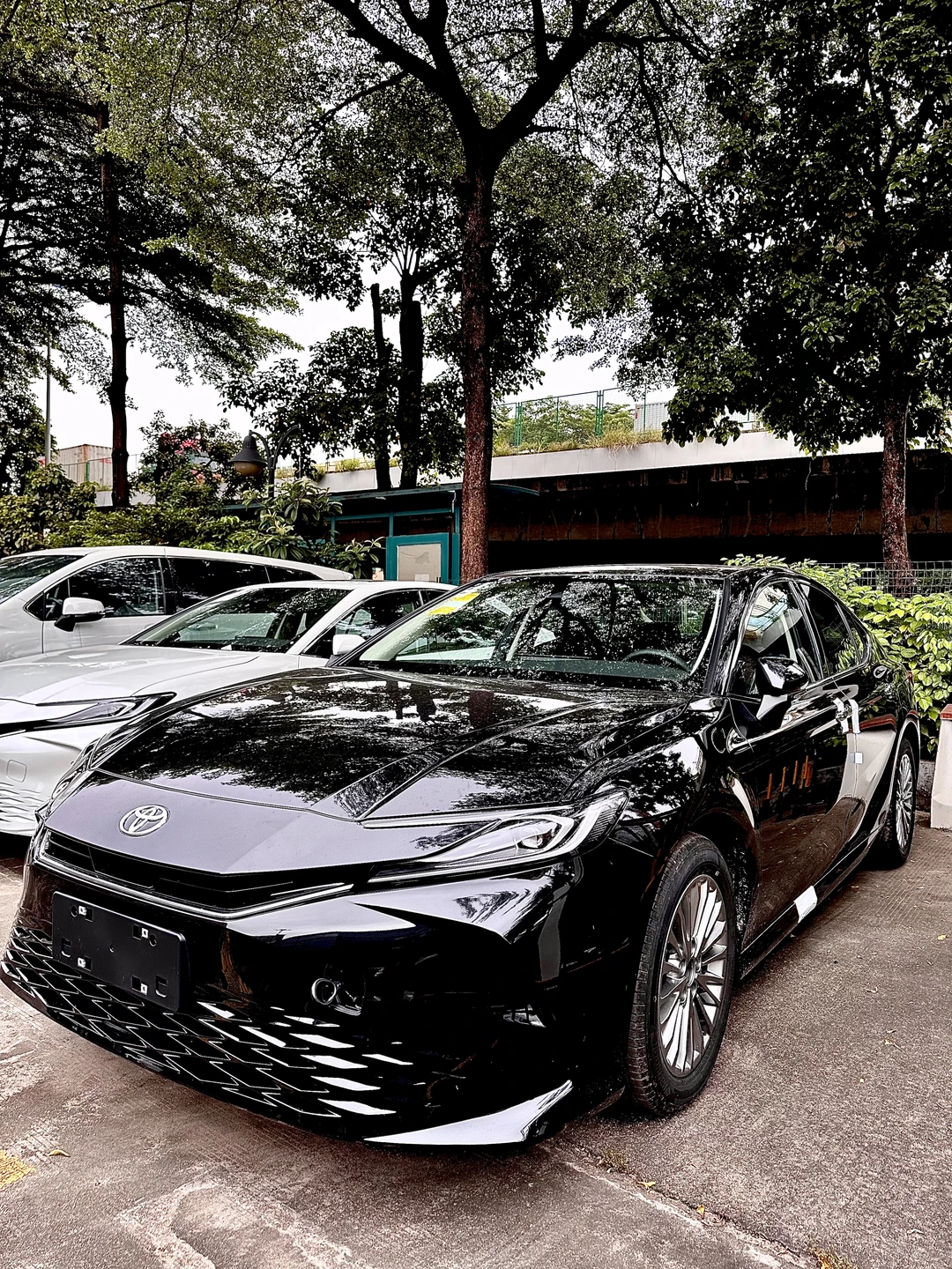 凯美瑞月末，终于到该出手的时候了❗️