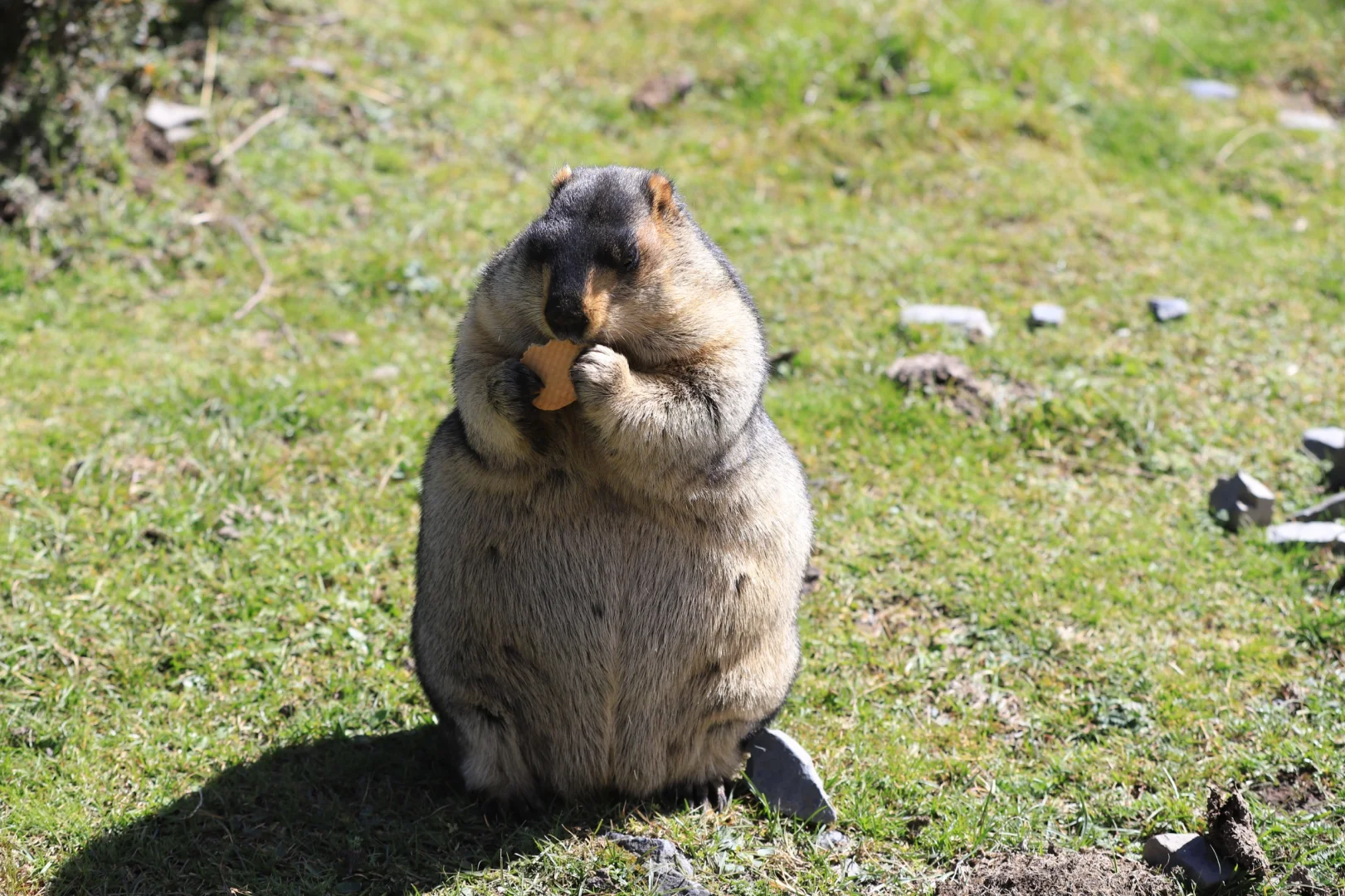 小鹏智驾，一言难尽