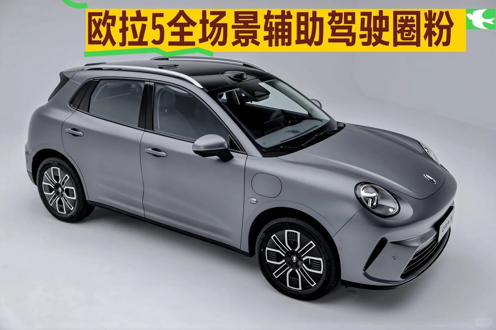 被欧拉5全场景辅助驾驶圈粉！年轻人闭眼冲