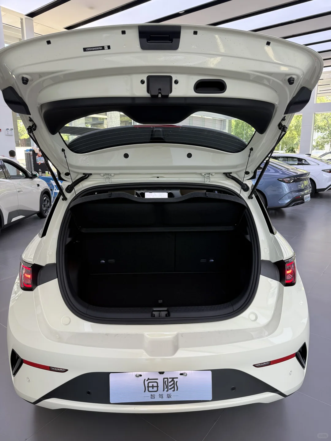 🐬比亚迪海豚，真的越看越爱！