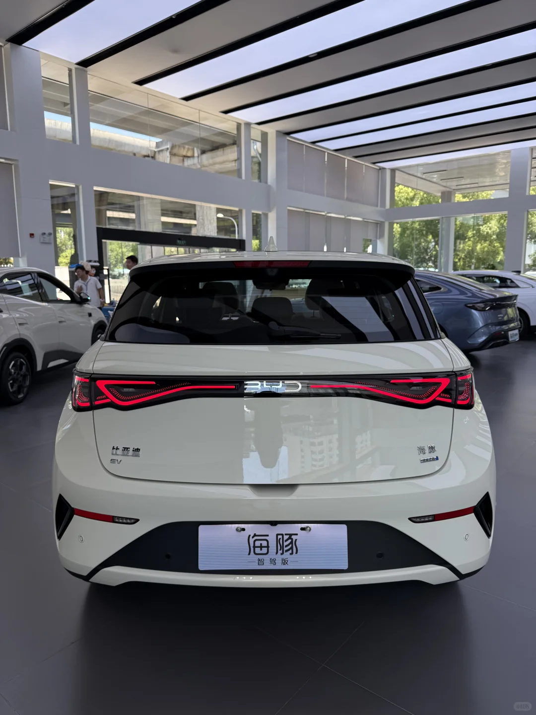 🐬比亚迪海豚，真的越看越爱！