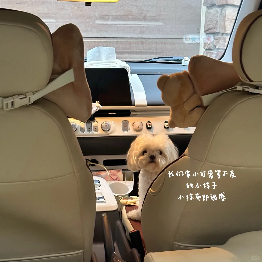 糯玉米！买来练手的小车越开越顺手了！！