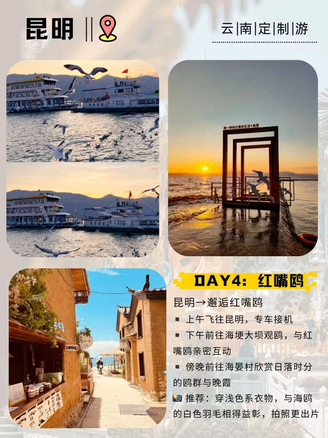 【西双版纳+昆明观鸥定制小团】5天4晚玩转