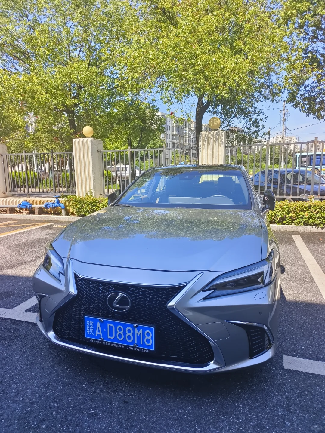 不是我吹，这车真帅！️