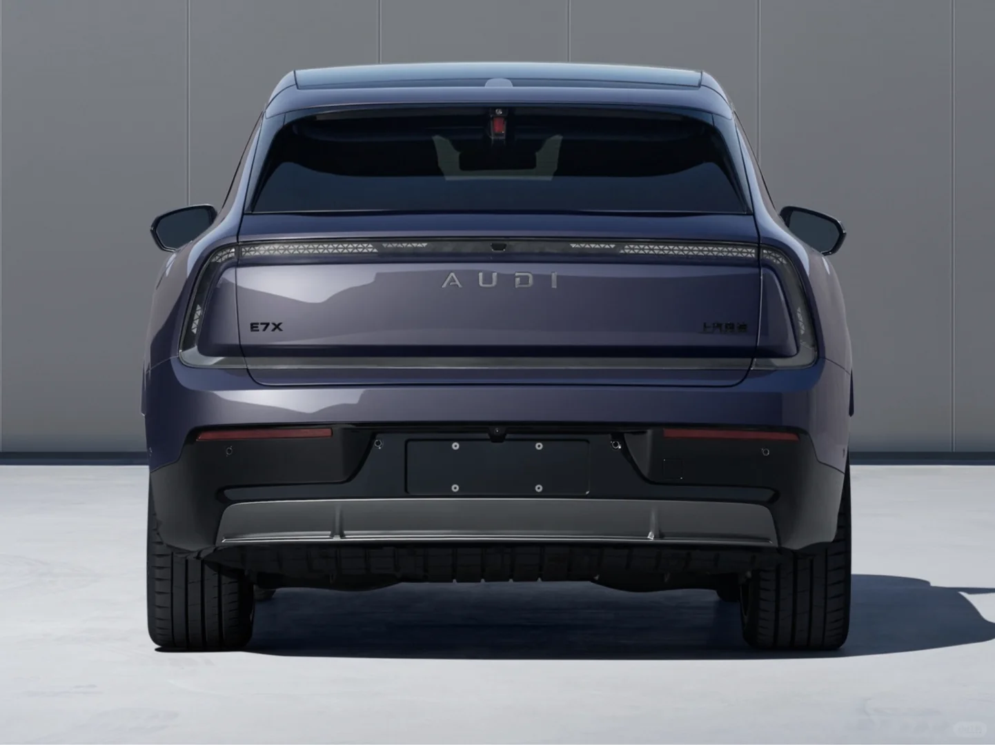 AUDI首款SUV，车长5米，双电机500kW！