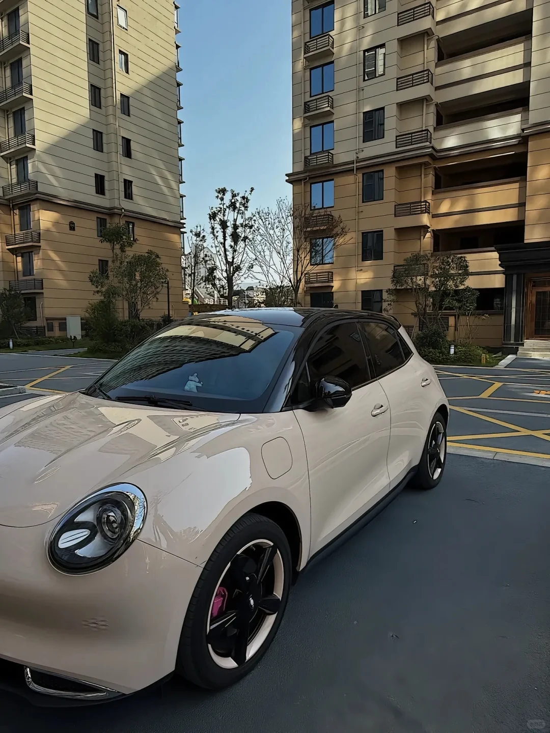 好猫是一款主打时尚智能的纯电动车型