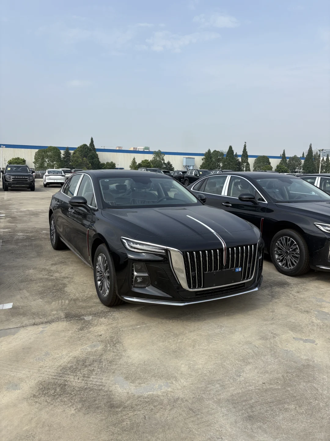 2025款红旗H5全新车，价格大跳水，这回价格真