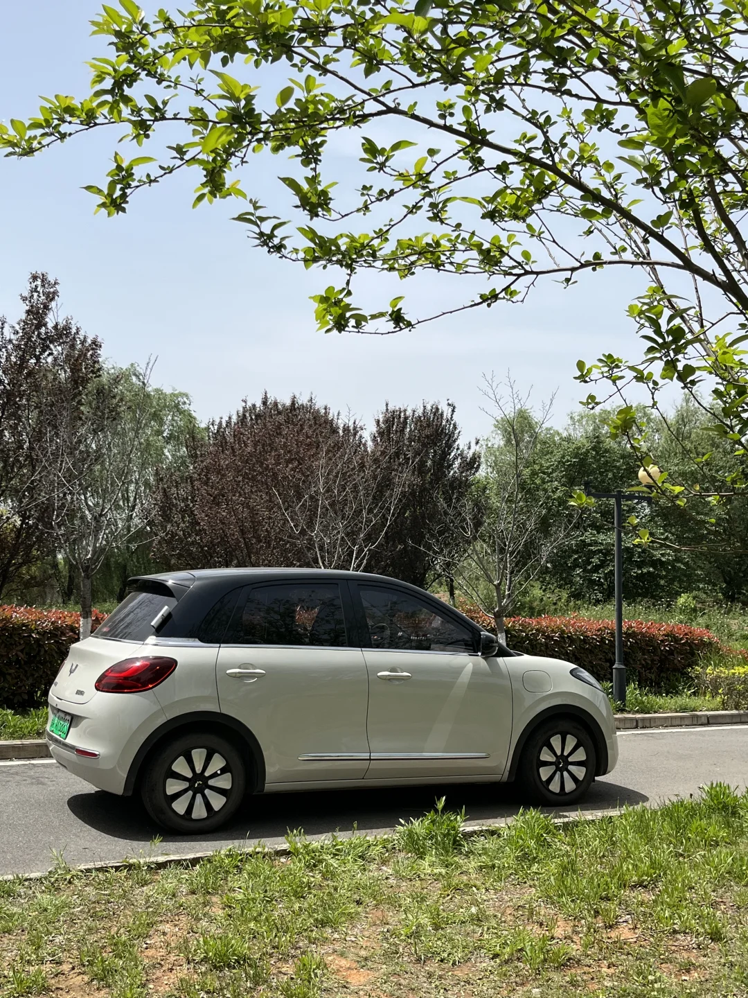 听劝‼️女生的第一辆车千万不要买五菱缤果！