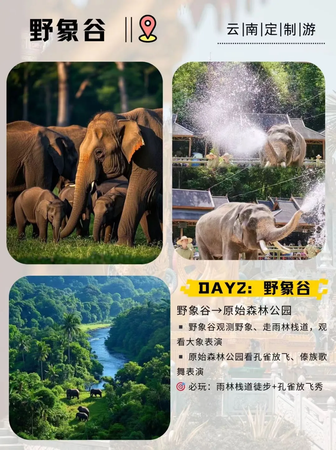 【西双版纳+昆明观鸥定制小团】5天4晚玩转