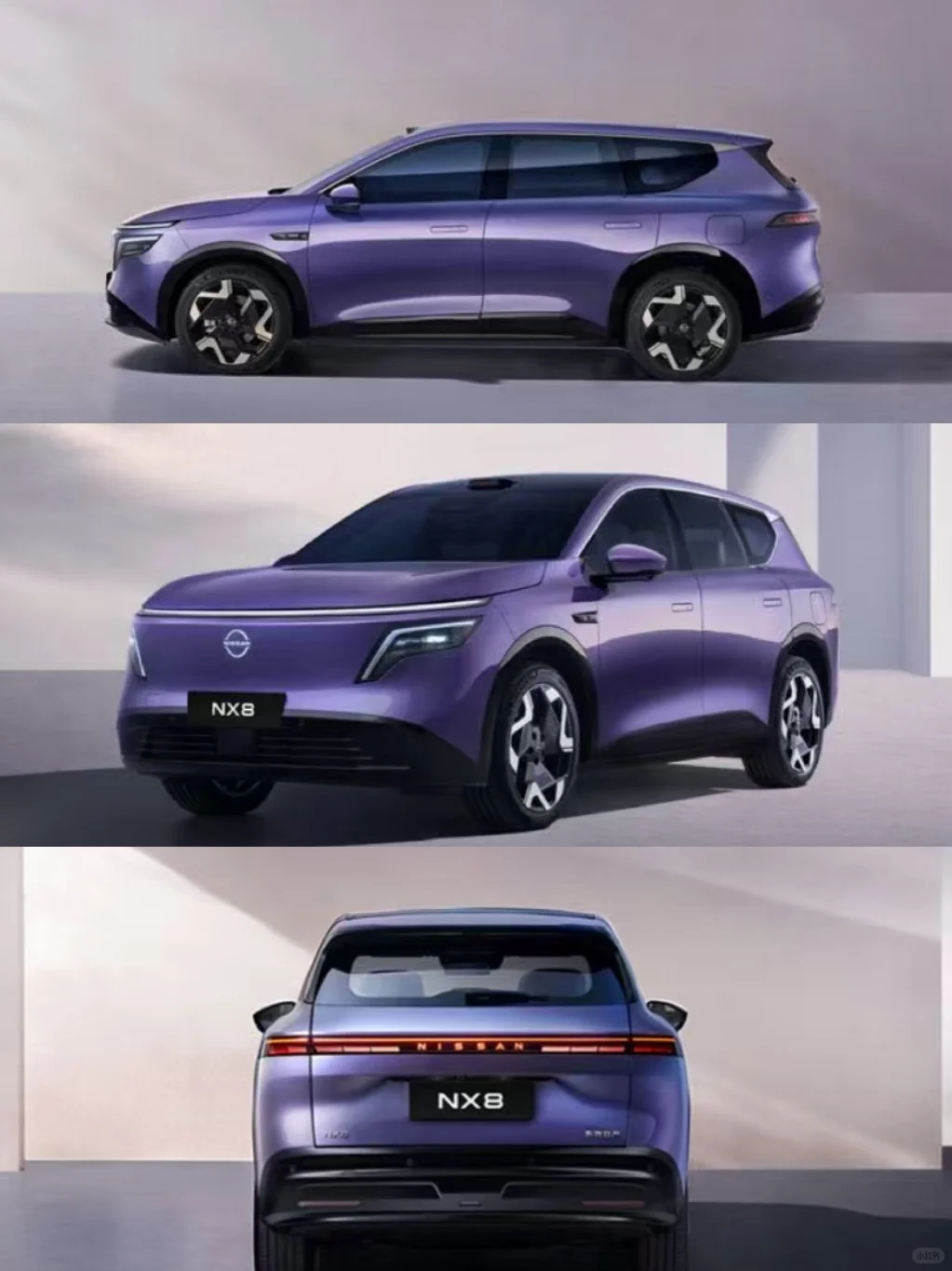 NX8东风日产新能源suv来了！